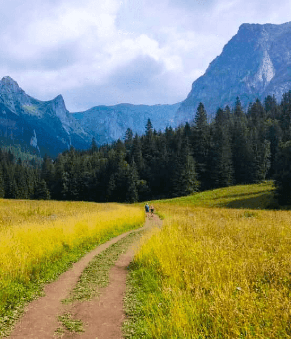 Dolina Małej Łąki